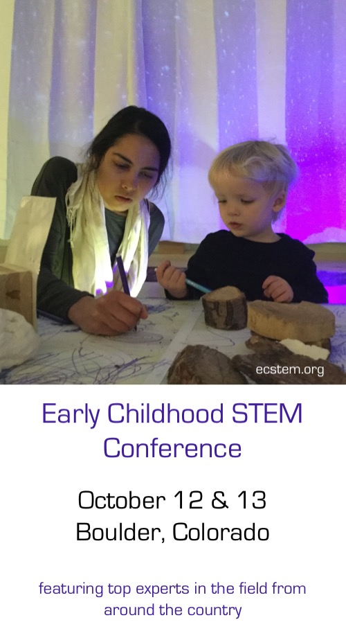Register now for the ECSTEM conference in Boulder, Colorado on October 12 and 13, 2018! 
 See the most current work from top experts in the field from around the country! 