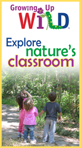 Growing Up WILD is an early childhood education program that builds on children’s sense of wonder about nature and invites them to explore wildlife and the world around them. Click here to learn more!