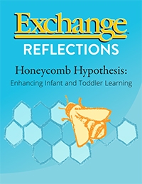 Honeycomb Hypothesis: Enhancing Infant and Toddler Learning
